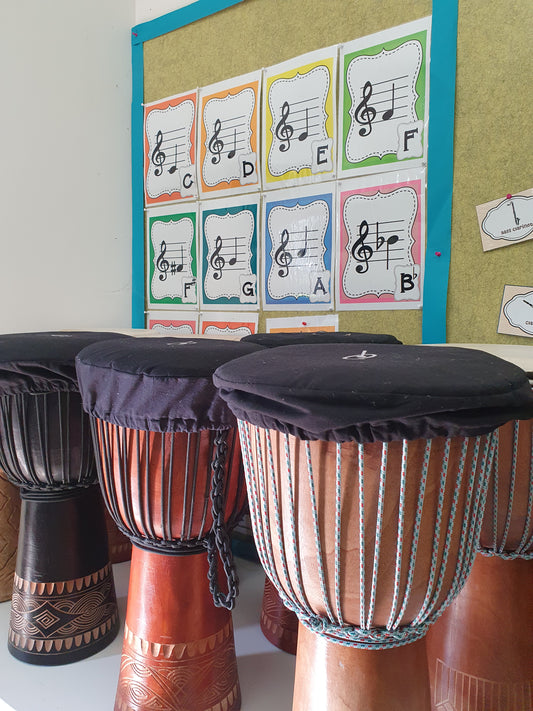 Western Port – Music in Schools